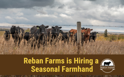 Reban Farms is Hiring a Seasonal Farmhand